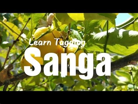 SANGAG: Tagalog.